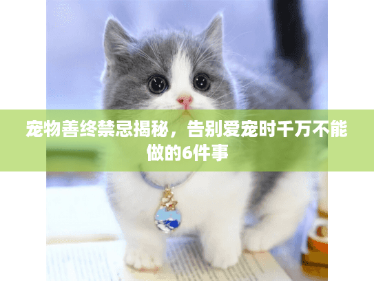 宠物善终禁忌揭秘,告别爱宠时千万不能做的6件事 宠物善终禁忌揭秘,告别爱宠时千万不能做的6件事