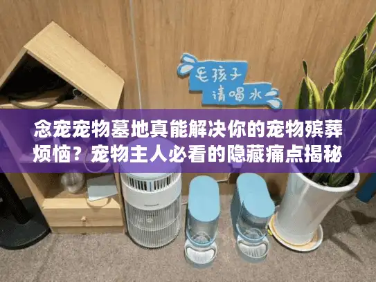 念宠宠物墓地真能解决你的宠物殡葬烦恼？宠物主人必看的隐藏痛点揭秘