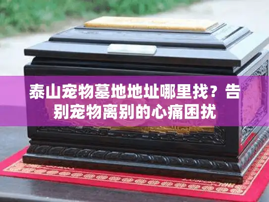 泰山宠物墓地地址哪里找?告别宠物离别的心痛困扰 泰山宠物墓地地址哪里找?告别宠物离别的心痛困扰