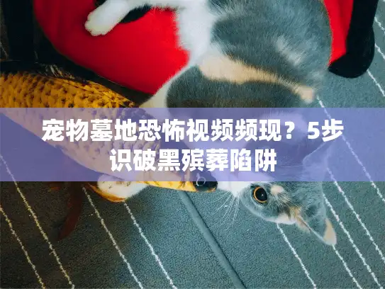 宠物墓地恐怖视频频现?5步识破黑殡葬陷阱 宠物墓地恐怖视频频现?5步识破黑殡葬陷阱