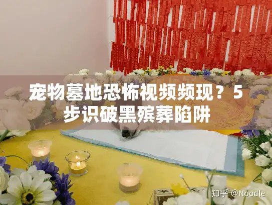 宠物墓地恐怖视频频现?5步识破黑殡葬陷阱 宠物墓地恐怖视频频现?5步识破黑殡葬陷阱