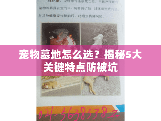 宠物墓地怎么选?揭秘5大关键特点防被坑 宠物墓地怎么选?揭秘5大关键特点防被坑