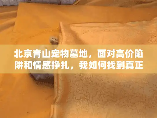 北京青山宠物墓地，面对高价陷阱和情感挣扎，我如何找到真正放心的服务？