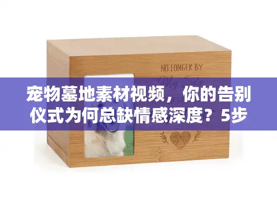 宠物墓地素材视频，你的告别仪式为何总缺情感深度？5步打造专属悼念时刻