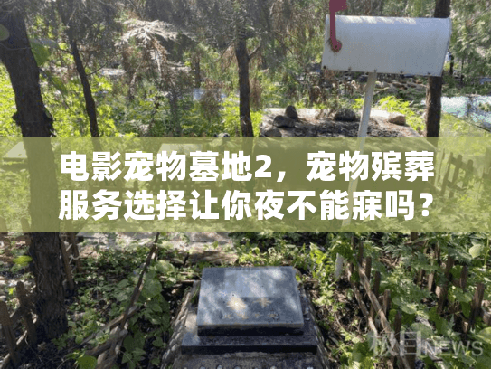 电影宠物墓地2，宠物殡葬服务选择让你夜不能寐吗？