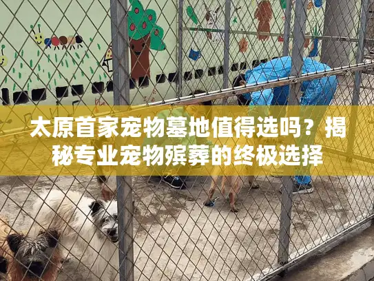 太原首家宠物墓地值得选吗？揭秘专业宠物殡葬的终极选择