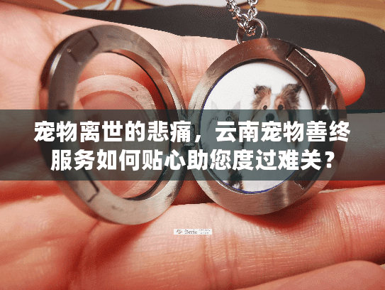 宠物离世的悲痛，云南宠物善终服务如何贴心助您度过难关？