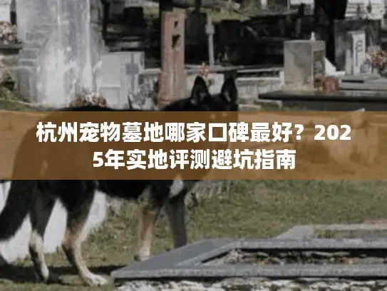 杭州宠物墓地哪家口碑最好?2025年实地评测避坑指南 杭州宠物墓地哪家口碑最好?2025年实地评测避坑指南