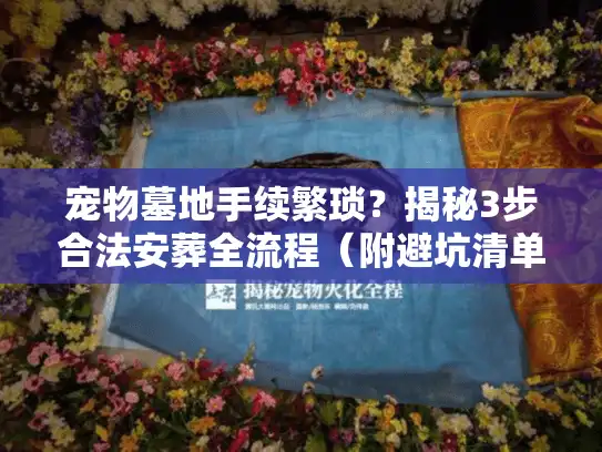 宠物墓地手续繁琐？揭秘3步合法安葬全流程（附避坑清单）