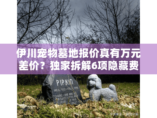 伊川宠物墓地报价真有万元差价?独家拆解6项隐藏费用真相 伊川宠物墓地报价真有万元差价?独家拆解6项隐藏费用真相