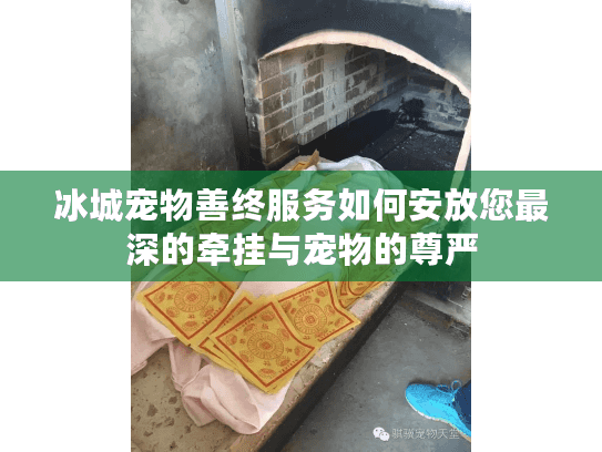 冰城宠物善终服务如何安放您最深的牵挂与宠物的尊严