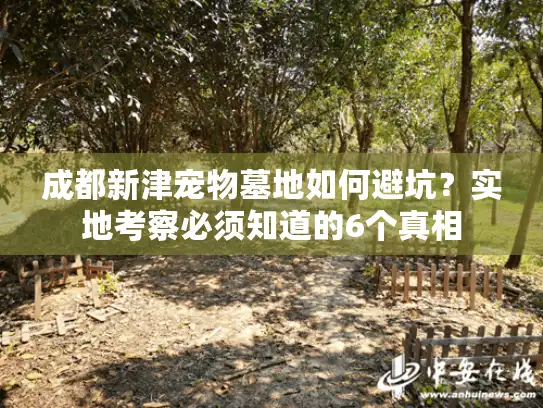 成都新津宠物墓地如何避坑？实地考察必须知道的6个真相