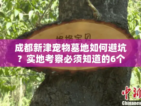 成都新津宠物墓地如何避坑？实地考察必须知道的6个真相