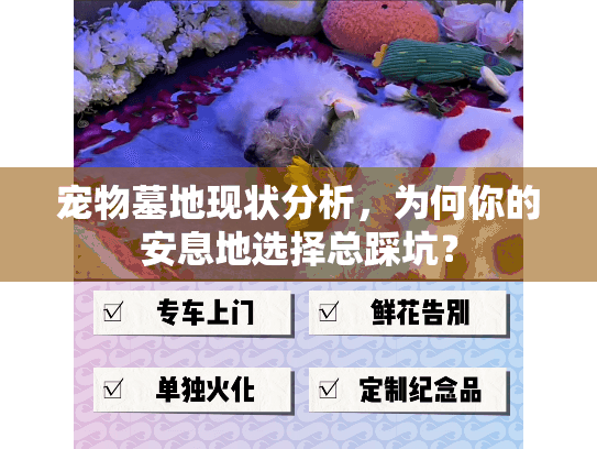 宠物墓地现状分析,为何你的安息地选择总踩坑? 宠物墓地现状分析,为何你的安息地选择总踩坑?