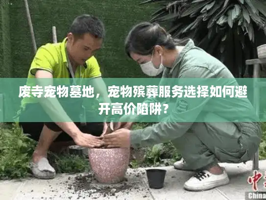 废寺宠物墓地，宠物殡葬服务选择如何避开高价陷阱？