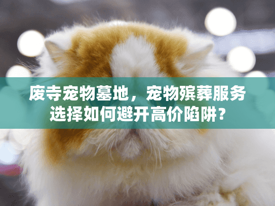 废寺宠物墓地，宠物殡葬服务选择如何避开高价陷阱？