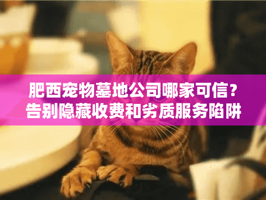 肥西宠物墓地公司哪家可信?告别隐藏收费和劣质服务陷阱! 肥西宠物墓地公司哪家可信?告别隐藏收费和劣质服务陷阱!