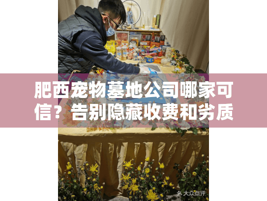 肥西宠物墓地公司哪家可信?告别隐藏收费和劣质服务陷阱! 肥西宠物墓地公司哪家可信?告别隐藏收费和劣质服务陷阱!