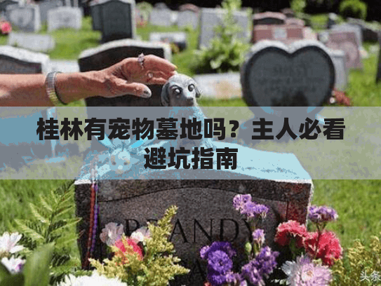 桂林有宠物墓地吗？主人必看避坑指南