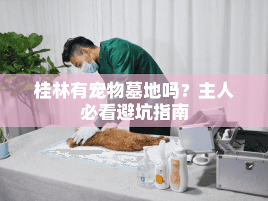 桂林有宠物墓地吗？主人必看避坑指南