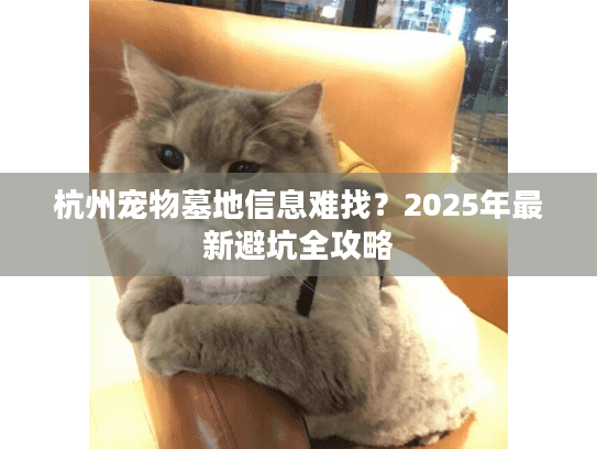 杭州宠物墓地信息难找？2025年最新避坑全攻略