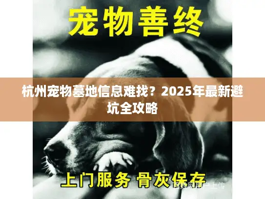 杭州宠物墓地信息难找？2025年最新避坑全攻略