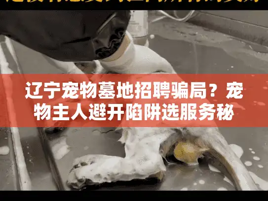 辽宁宠物墓地招聘骗局？宠物主人避开陷阱选服务秘诀