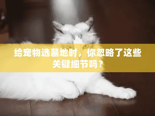 给宠物选墓地时，你忽略了这些关键细节吗？