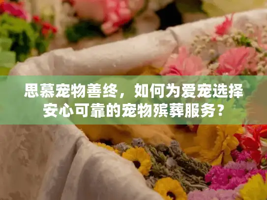 思慕宠物善终，如何为爱宠选择安心可靠的宠物殡葬服务？