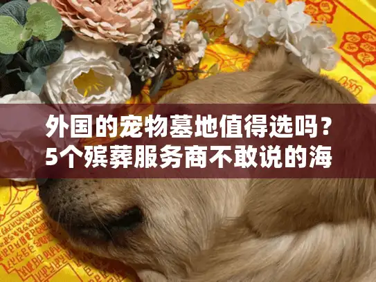 外国的宠物墓地值得选吗?5个殡葬服务商不敢说的海外真相 外国的宠物墓地值得选吗?5个殡葬服务商不敢说的海外真相