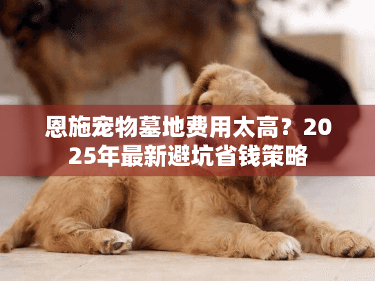 恩施宠物墓地费用太高？2025年最新避坑省钱策略