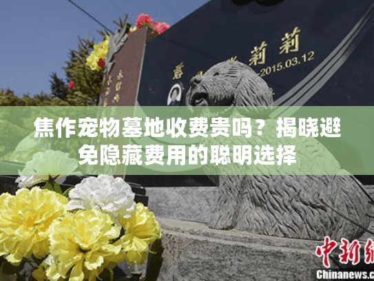 焦作宠物墓地收费贵吗？揭晓避免隐藏费用的聪明选择