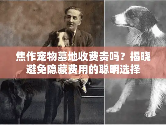 焦作宠物墓地收费贵吗？揭晓避免隐藏费用的聪明选择