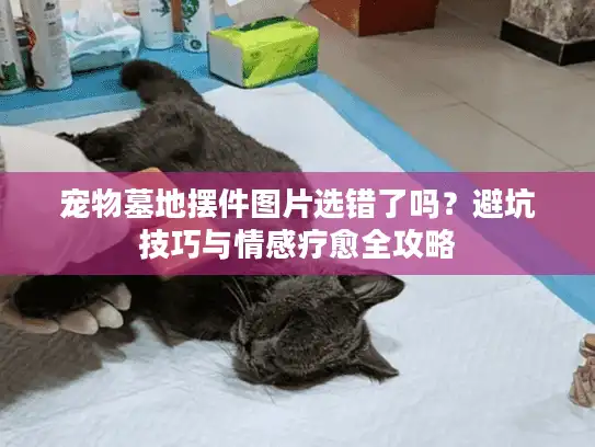 宠物墓地摆件图片选错了吗？避坑技巧与情感疗愈全攻略