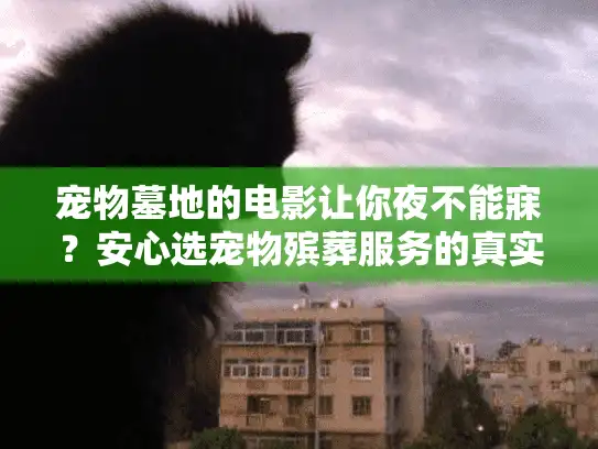 宠物墓地的电影让你夜不能寐？安心选宠物殡葬服务的真实避坑指南