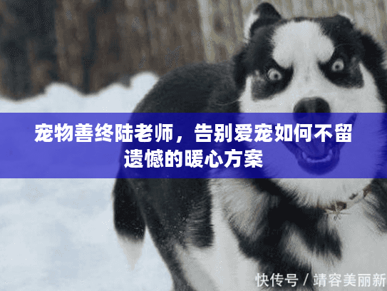 宠物善终陆老师，告别爱宠如何不留遗憾的暖心方案