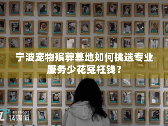 宁波宠物殡葬墓地如何挑选专业服务少花冤枉钱？