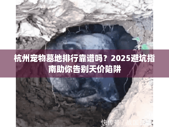 杭州宠物墓地排行靠谱吗？2025避坑指南助你告别天价陷阱