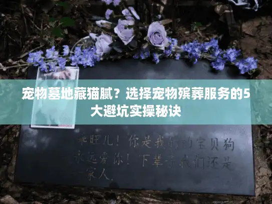 宠物墓地藏猫腻？选择宠物殡葬服务的5大避坑实操秘诀