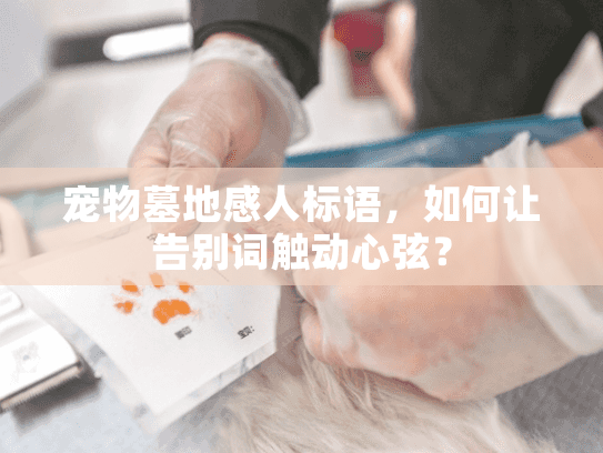 宠物墓地感人标语，如何让告别词触动心弦？