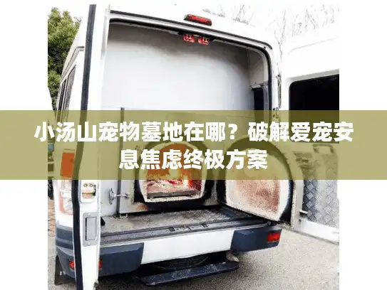 小汤山宠物墓地在哪？破解爱宠安息焦虑终极方案