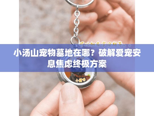 小汤山宠物墓地在哪？破解爱宠安息焦虑终极方案