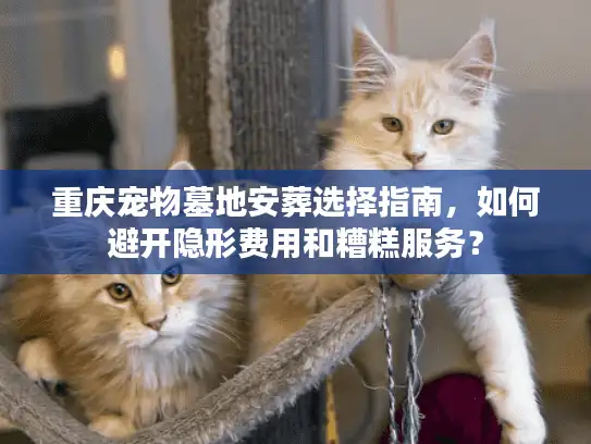 重庆宠物墓地安葬选择指南,如何避开隐形费用和糟糕服务? 重庆宠物墓地安葬选择指南,如何避开隐形费用和糟糕服务?