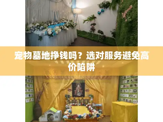 宠物墓地挣钱吗？选对服务避免高价陷阱