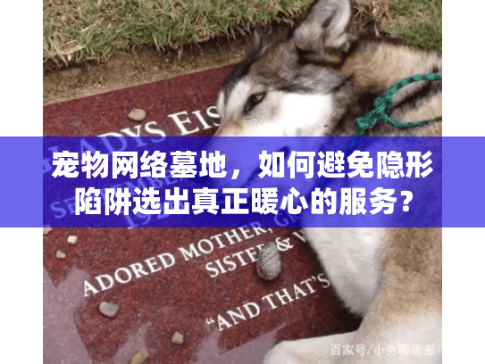 宠物网络墓地，如何避免隐形陷阱选出真正暖心的服务？