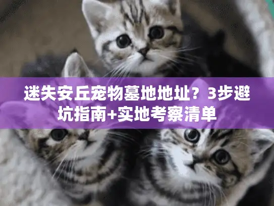 迷失安丘宠物墓地地址?3步避坑指南+实地考察清单 迷失安丘宠物墓地地址?3步避坑指南+实地考察清单
