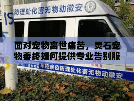 面对宠物离世痛苦，灵石宠物善终如何提供专业告别服务？