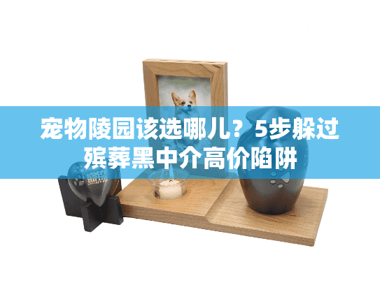 宠物陵园该选哪儿？5步躲过殡葬黑中介高价陷阱