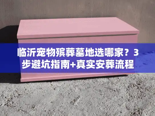 临沂宠物殡葬墓地选哪家？3步避坑指南+真实安葬流程