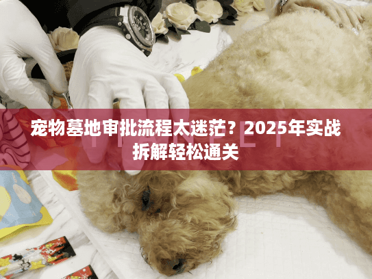 宠物墓地审批流程太迷茫?2025年实战拆解轻松通关 宠物墓地审批流程太迷茫?2025年实战拆解轻松通关